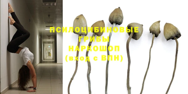мдпв Балабаново