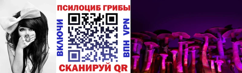 Галлюциногенные грибы ЛСД  цена   Нюрба 